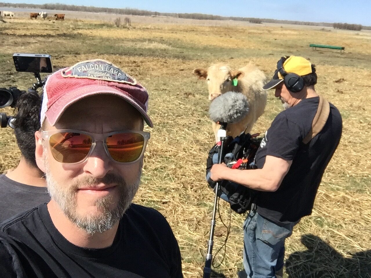 Jeff Newman takes a selfie with his film crew behind him filming a herd of cows